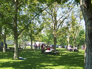 Piknik yapanlara şok!