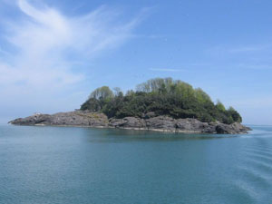 Giresun adası kuşlara teslim