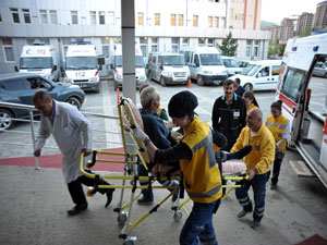 Mantar toplarken 3 ayı saldırısına uğradı