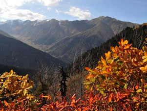 Kaçkar ve Fırtına Vadisi'nde büyük hazine
