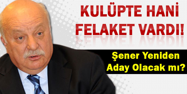 Şener başkanlık için neler söyledi?