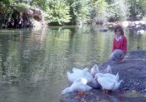 Küresel Isınmaya Direniyor