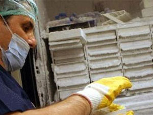 Hastalığının çaresi yok