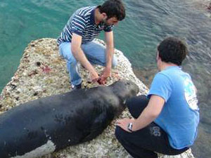 Duman'ı katlettiler