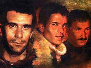 Denizler için Meclis Araştırması