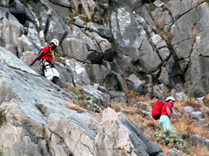 Akut keçileri kurtardı