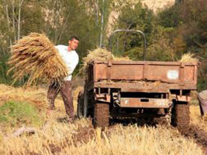 Maliye Bakanlığı ödeneği onayladı