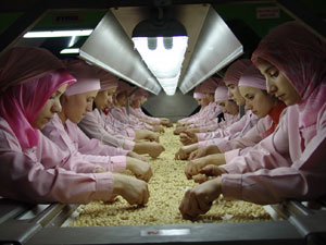 Fındık ihracatı rekora gidiyor