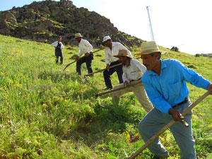 Milyonlarca çiftçiye büyük müjde