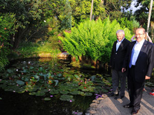 Trabzon botanik parkına Batum örneği