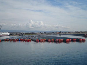 Asrın Projesi'nde dünyada bir ilk