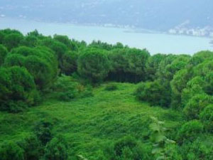 Piknik alanı çöp sahası olur mu?