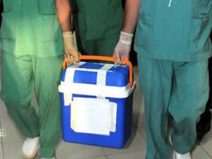 Ordulu kadın 4 kişiye hayat verecek