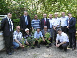 Çiftçilere mavi yemiş fidanı dağıtıldı