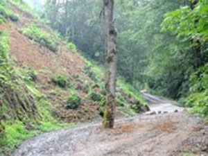 Rizeliler kıyamadı..