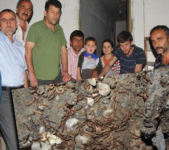 Hamzalı işgal edildi