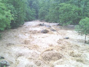 Ordu'da sel can aldı!