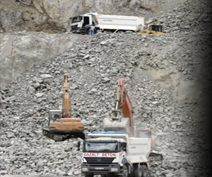 10 Dolar için doğa katliamı!