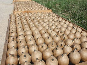 Ramazan topları patladı