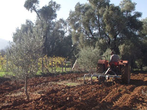 Sağlık Bakanı çiftçileri uyardı
