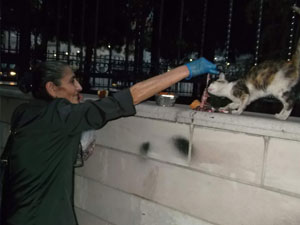 Böyle hayvan sevgisi görülmedi