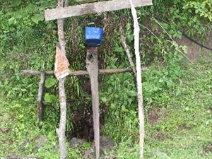 Giresun'da yabani hayvanlara ilginç çözüm!