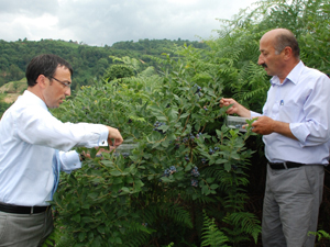 Of'ta Alternatif ürünler yüz güldürüyor