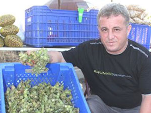 SMS ve mektupla "pazara az miktarda fındık indir" uyarısı