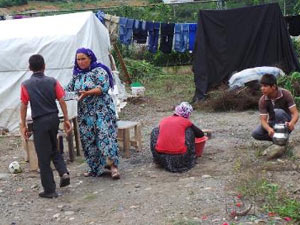Mevsimlik fındık işçileri gelmeye başladı