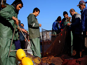 Trabzonluların kültür balığına ilgisi arttı