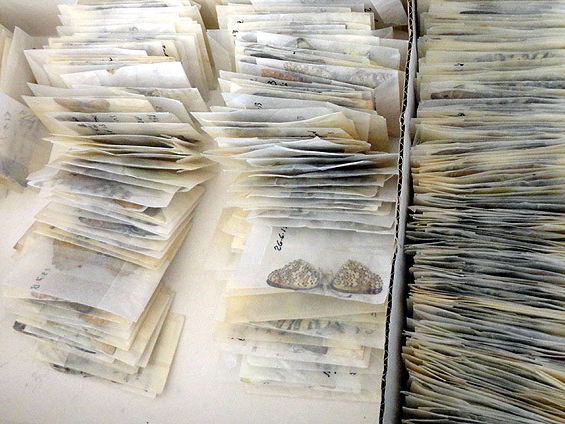 Kaçakcılara suçüstü baskın