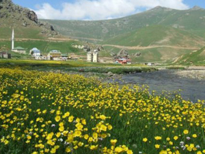 Fatih'in ordusuyla geçtiği yaylaya turist ilgisi
