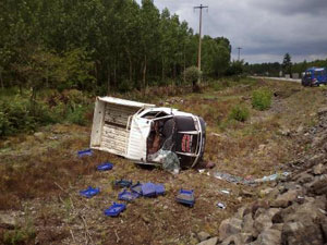 Eşeğe çarpmamak için kaza yaptı