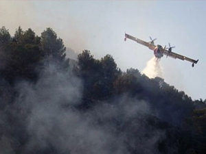 50 Hektar orman kül oldu