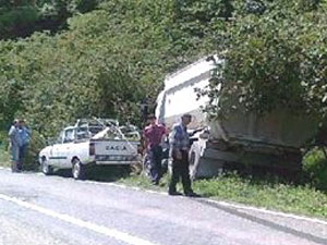 Trabzon'da kamyon fındık bahçesine girdi