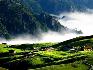 Bazı orman alanları yayla ilan edildi