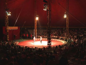 Atlas Sirk'i Rize'de kuruldu