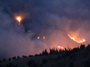 500 hektar ormanlık alan kül oldu