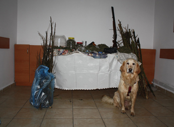 Giresun'da uyuşturucu operasyonu! 7 Ağustos 2013