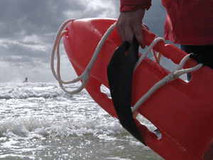 Cankurtaranlara şok saldırı