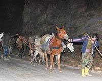 Kaçakçıların milyon dolarlık savaşı!