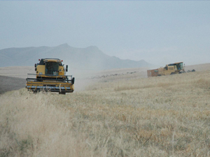 Trabzon'dan Van'a giden ailelerin sıkıntısı