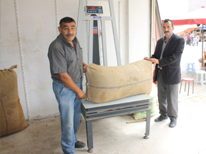 Fındığı satmakta acele etmeyin