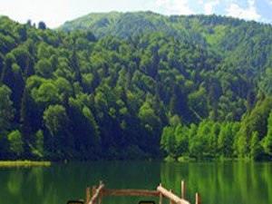 Karadeniz'de "Sevdaluk" başlayacak!