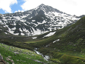 Yeşil yol projesi ne durumda?