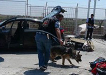 Hatay'da korkutan gelişme!