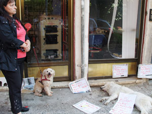 Rize'de köpek ölümlerine afişli tepki!