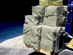 Doğu Karadeniz'e yeni gümrük