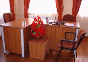 Hükümet Ve Memur Masada