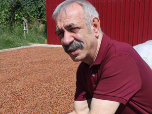 Yağışlar Fındık kurutmayı engellemiyor